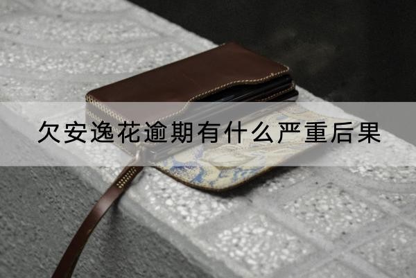 欠安逸花逾期有什么嚴(yán)重后果？千萬別大意