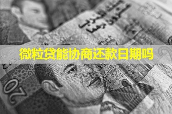 微粒貸能協(xié)商還款日期嗎？多角度分析