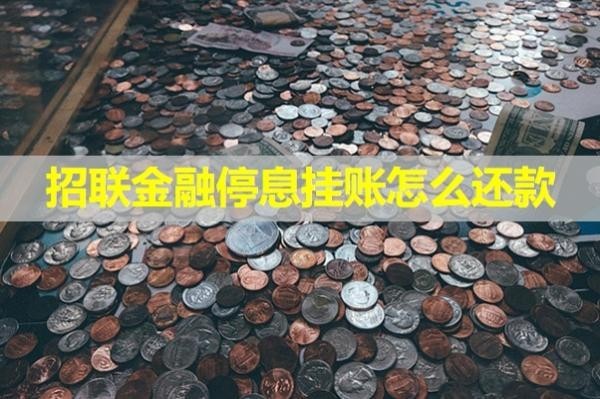 招聯(lián)金融停息掛賬怎么還款？