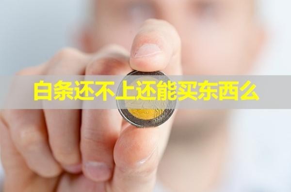 白條還不上還能買東西么？詳細(xì)說明