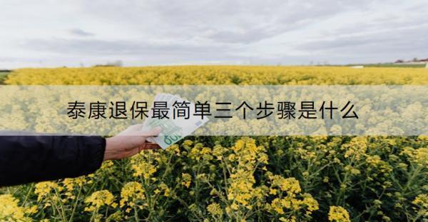 泰康退保最簡(jiǎn)單三個(gè)步驟是什么？線上不退保的原因有哪些？