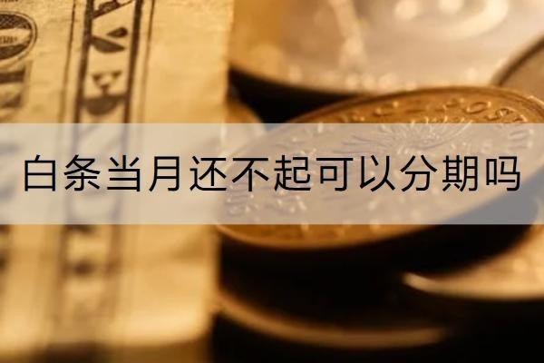 白條當(dāng)月還不起可以分期嗎？