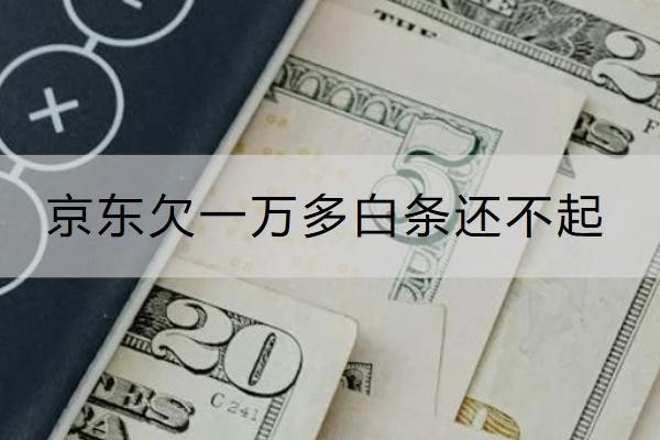 京東欠一萬多白條還不起怎么辦？這個方法一定要知道