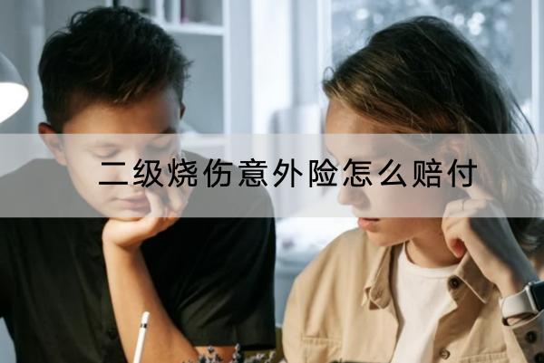 二級(jí)燒傷意外險(xiǎn)怎么賠付