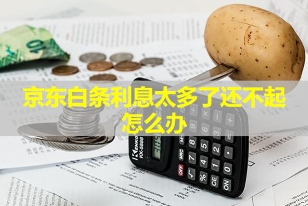 京東白條利息太多了還不起怎么辦？會產(chǎn)生哪些后果？