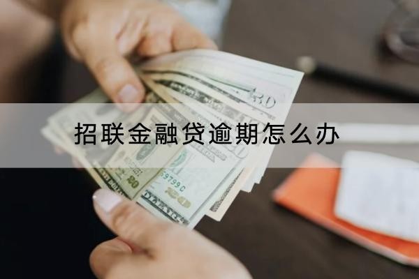 招聯(lián)金融貸逾期怎么辦