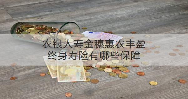 農(nóng)銀人壽金穗惠農(nóng)豐盈終身壽險(xiǎn)有哪些保障？值得買嗎？