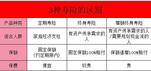 壽險家族三大成員解析：一文詳解~