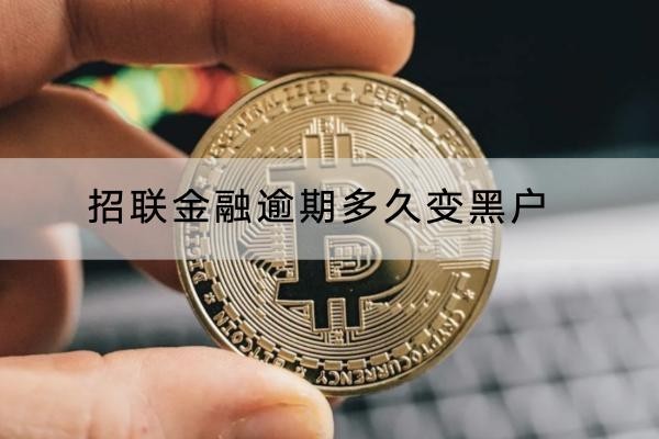 招聯(lián)金融逾期多久變黑戶？變黑戶了怎么辦？
