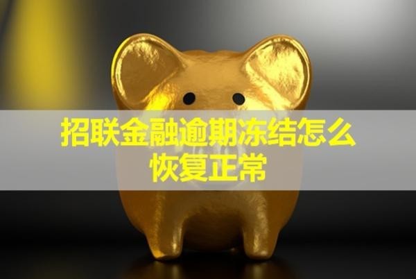 招聯(lián)金融逾期凍結(jié)怎么恢復(fù)正常？試試這三種方式