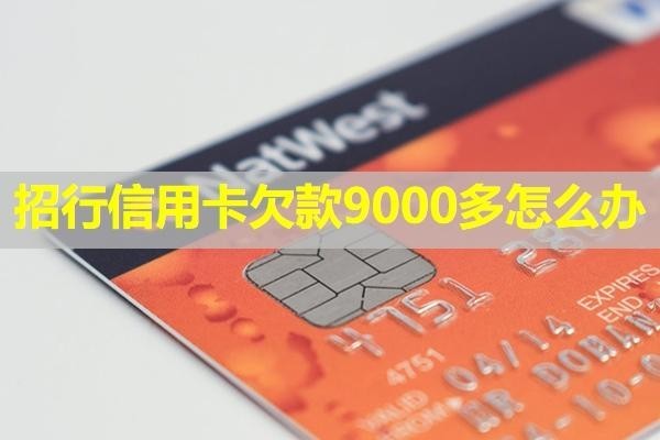招行信用卡欠款9000多怎么辦？可以參考這四種方式解決