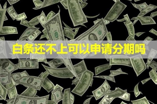 白條還不上可以申請分期嗎？會影響信用嗎？