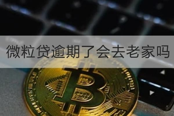 微粒貸逾期了會去老家嗎？詳細(xì)解析