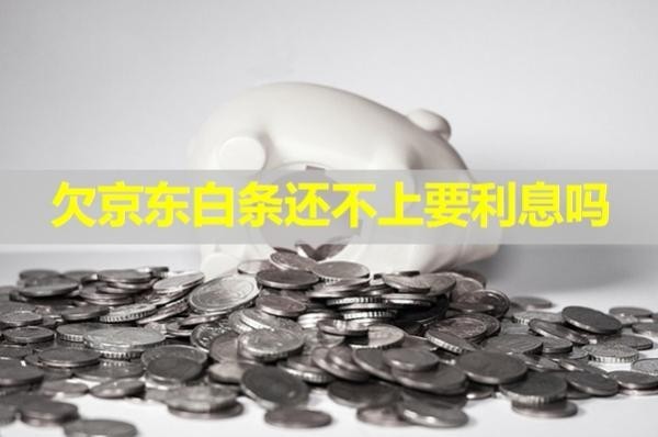 欠京東白條還不上要利息嗎？