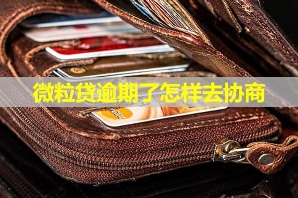 微粒貸逾期了怎樣去協(xié)商？