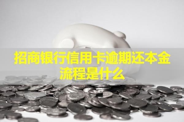 招商銀行信用卡逾期還本金流程是什么？詳細(xì)情況解析