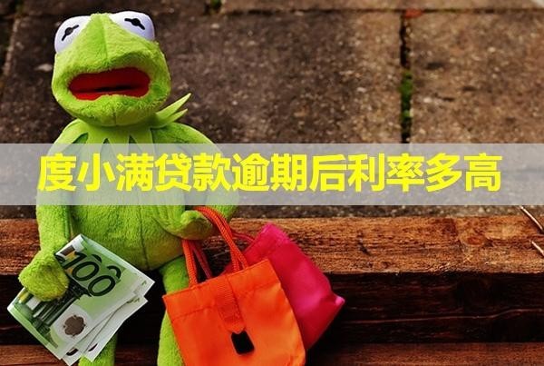 度小滿貸款逾期后利率多高？能協(xié)商減免嗎？