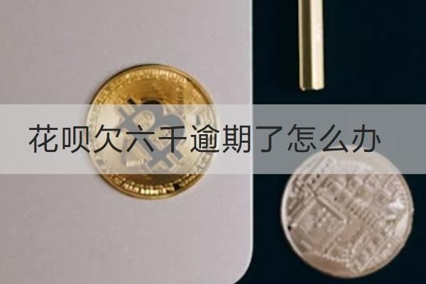 花唄欠六千逾期了怎么辦？解決辦法很多