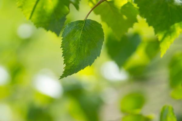 華夏保險(xiǎn)福臨門(mén)交十年能拿出來(lái)嗎