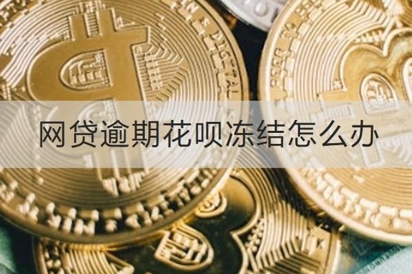 網(wǎng)貸逾期花唄凍結(jié)怎么辦？這幾個(gè)方法一定要知道