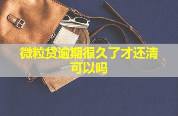 微粒貸逾期很久了才還清可以嗎？