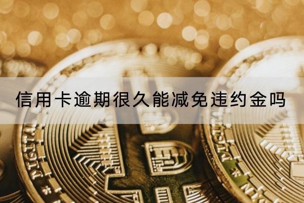 信用卡逾期很久能減免違約金嗎？詳細解析