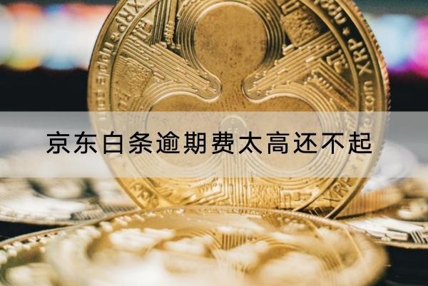 京東白條逾期費(fèi)太高還不起怎么解決？這幾個(gè)方法一定要知道