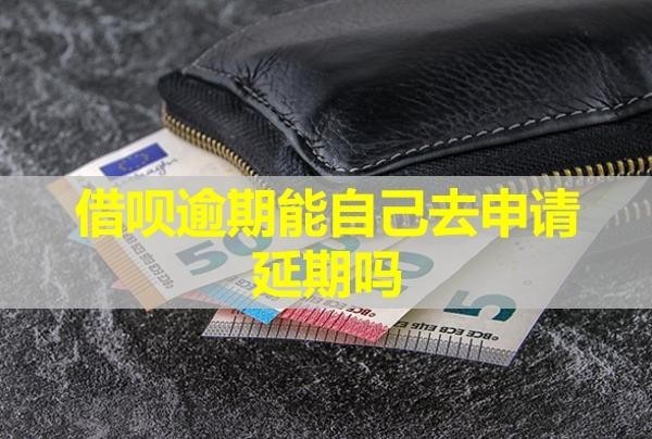 借唄逾期能自己去申請(qǐng)延期嗎？不同意怎么辦？
