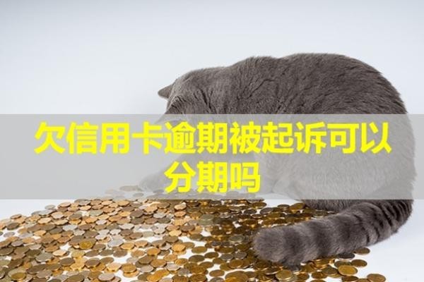 欠信用卡逾期被起訴可以分期嗎？有什么后果？