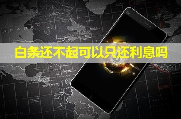 白條還不起可以只還利息嗎