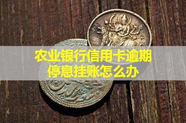 農(nóng)業(yè)銀行信用卡逾期停息掛賬怎么辦？成功幾率大嗎？