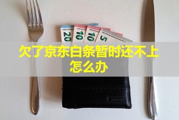 欠了京東白條暫時還不上怎么辦？怎么樣？