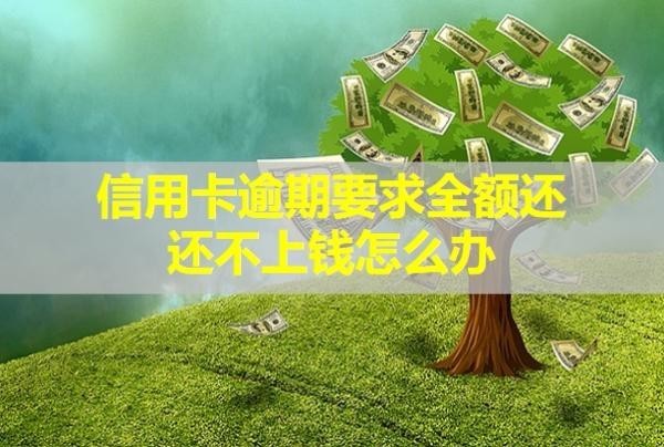 信用卡逾期要求全額還還不上錢怎么辦？可以減免利息嗎？