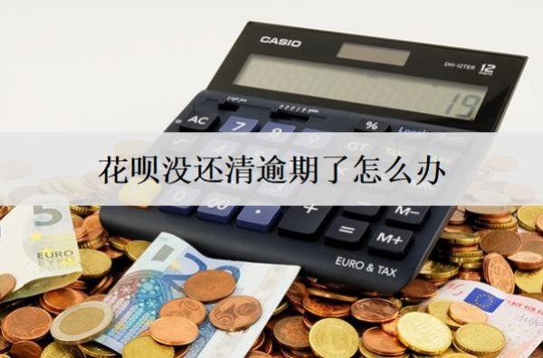 花唄沒還清逾期了怎么辦？會怎么樣？