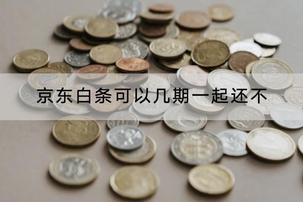 京東白條可以幾期一起還不？詳細解析