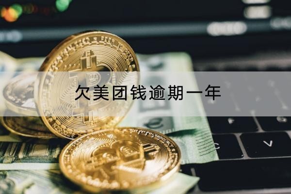 欠美團(tuán)錢逾期一年怎么應(yīng)對(duì)？別慌，方法很多！