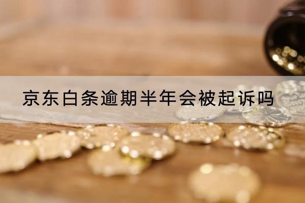 京東白條逾期半年會(huì)被起訴嗎？起訴后果嚴(yán)重