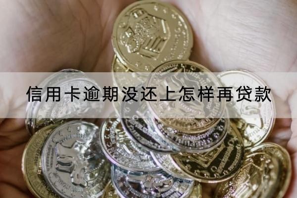 信用卡逾期沒(méi)還上怎樣再貸款？逾期應(yīng)該這樣做