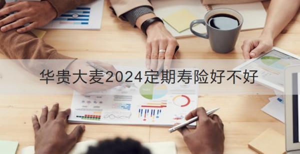 華貴大麥2024定期壽險好不好？保費多少？