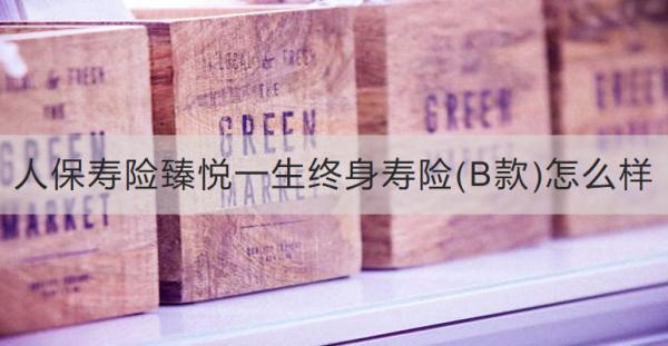 人保壽險臻悅一生終身壽險(B款)怎么樣？收益怎樣？
