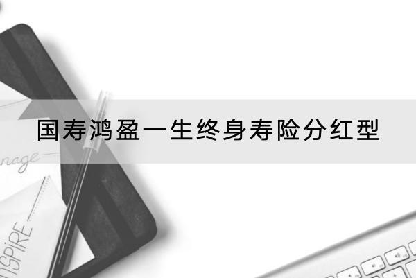 國(guó)壽鴻盈一生終身壽險(xiǎn)分紅型有哪些投保要求？提供什么保障？
