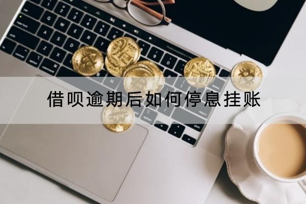 借唄逾期后如何停息掛賬？操作流程解析