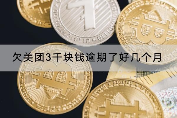 欠美團(tuán)3千塊錢逾期了好幾個(gè)月嚴(yán)重嗎？原來(lái)真的會(huì)被起訴