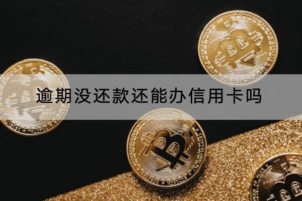 逾期沒還款還能辦信用卡嗎？辦理方式解析