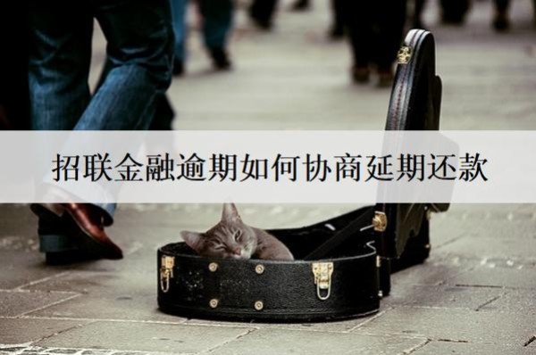 招聯(lián)金融逾期如何協(xié)商延期還款？按這個步驟協(xié)商