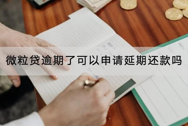 微粒貸逾期了可以申請延期還款嗎？延期注意事項