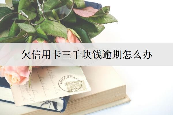 欠信用卡三千塊錢(qián)逾期怎么辦？會(huì)怎么樣？