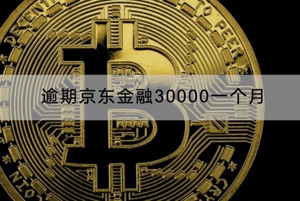 逾期京東金融30000一個(gè)月罰息多少？減免政策解析