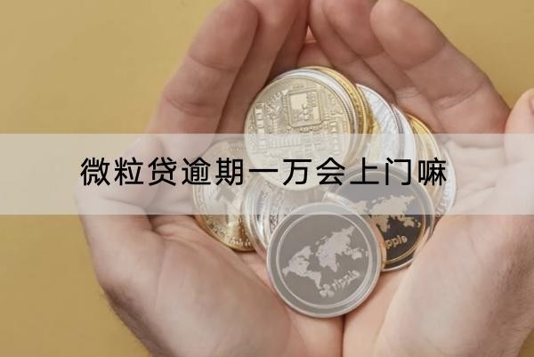 微粒貸逾期一萬會上門嘛？詳細(xì)解析