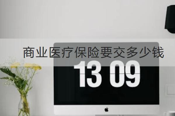 商業(yè)醫(yī)療保險(xiǎn)要交多少錢